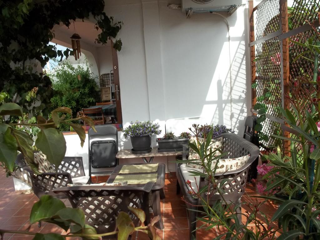 Madamme Curie Apartment Torrevieja Dış mekan fotoğraf