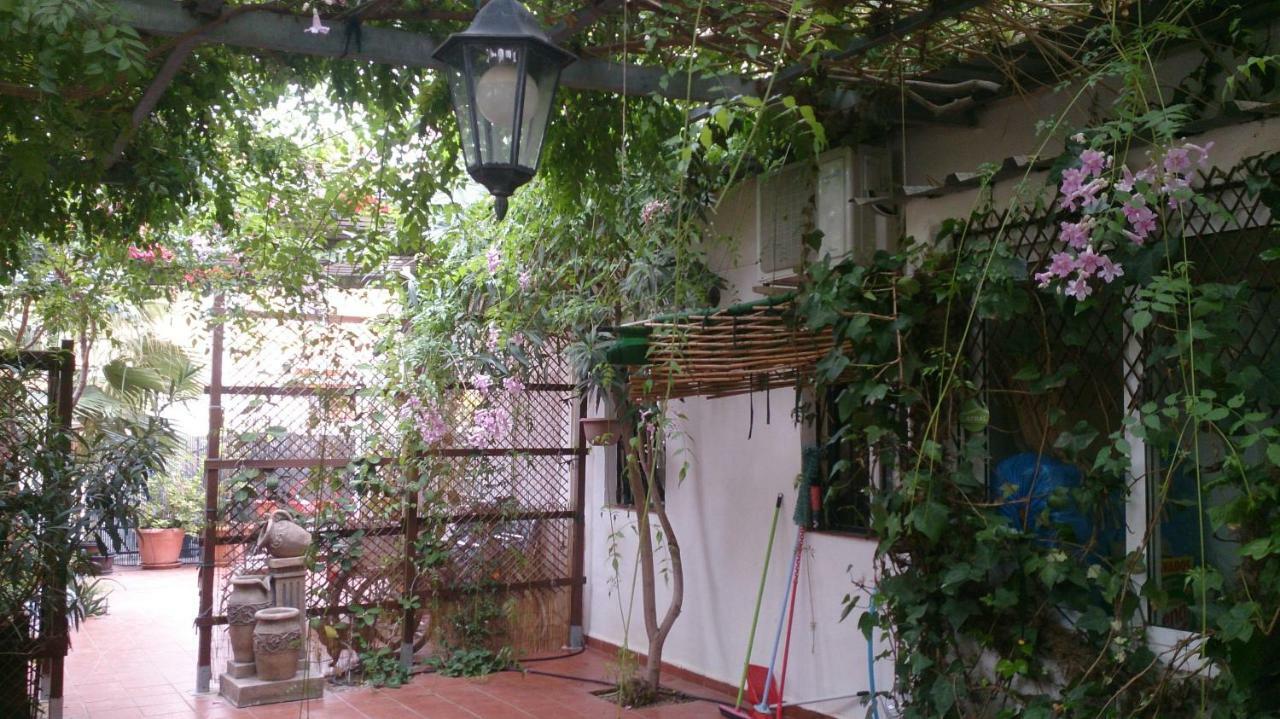 Madamme Curie Apartment Torrevieja Dış mekan fotoğraf